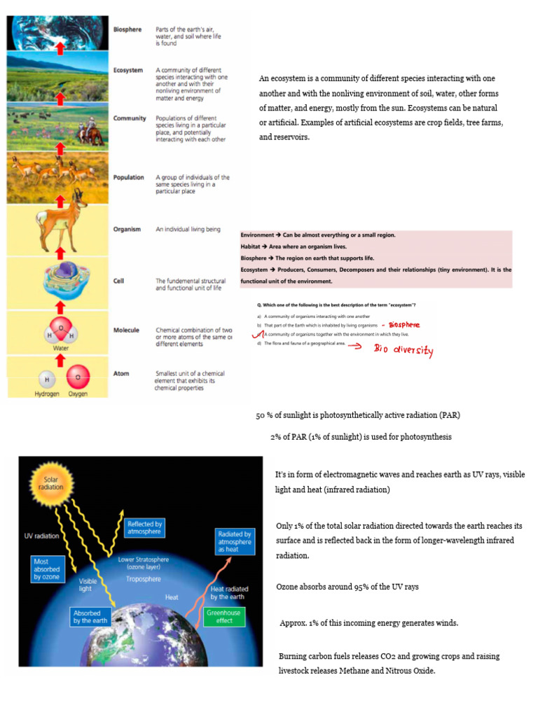 Environment Science Important Notes | PDF | Eutrophication | Ecosystem