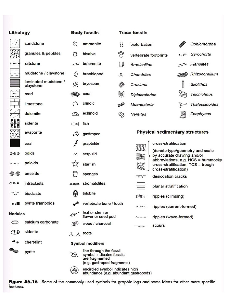 Template Field Data Symbols | PDF