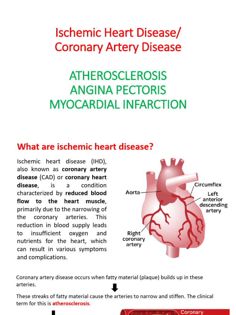 CAD - Ischemic Heart Disease | PDF | Coronary Artery Disease ...