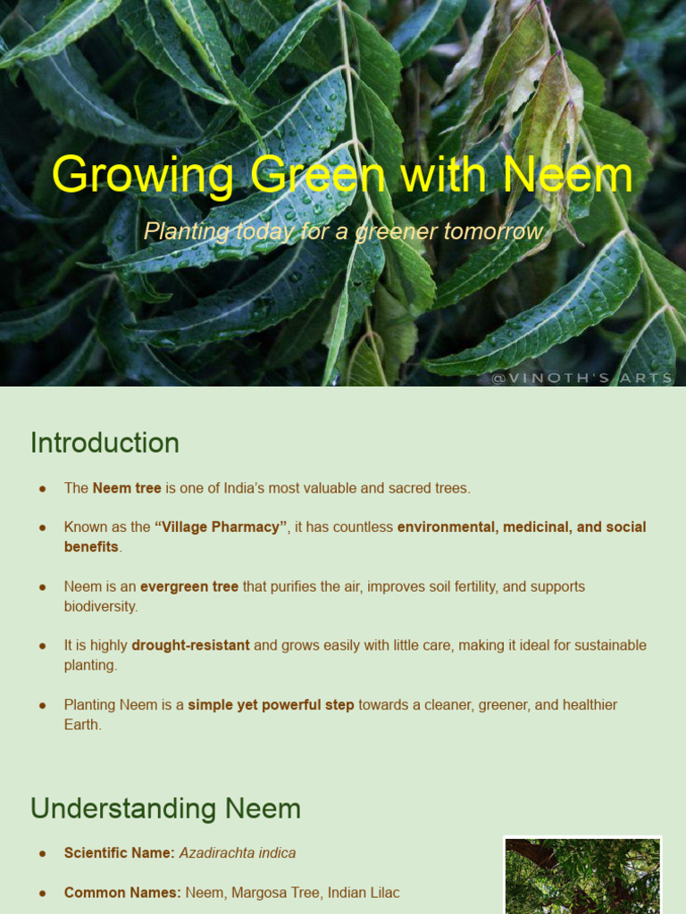Neem | PDF
