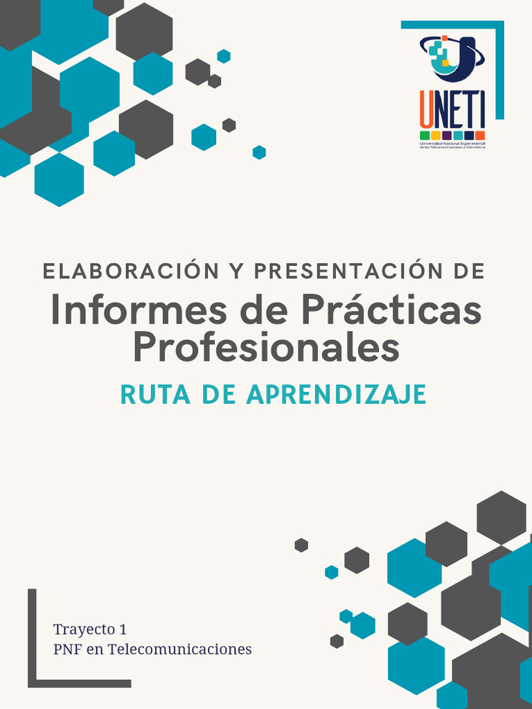 Elaboración y Presentación de Informes de Prácticas Profesionales ...