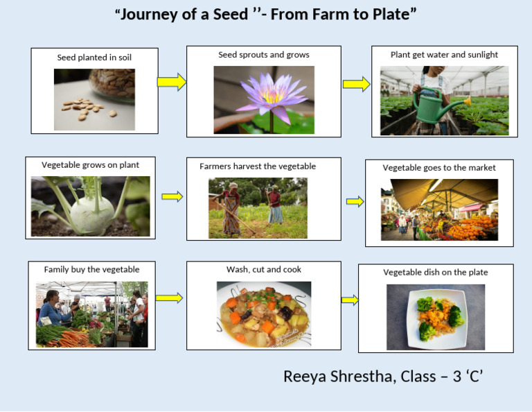 Reeya Shrestha - Farm To Plate | PDF