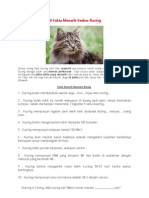 10 Fakta Menarik Seekor Kucing