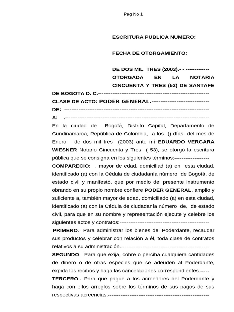 Modelo Poder General | PDF