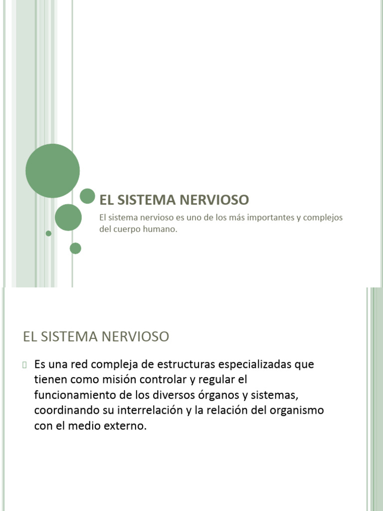 SN 2025 | PDF | Sistema nervioso | Cerebro