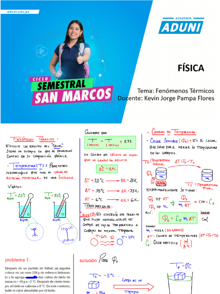 Seminario Semestral Fenomenos Termicos | PDF