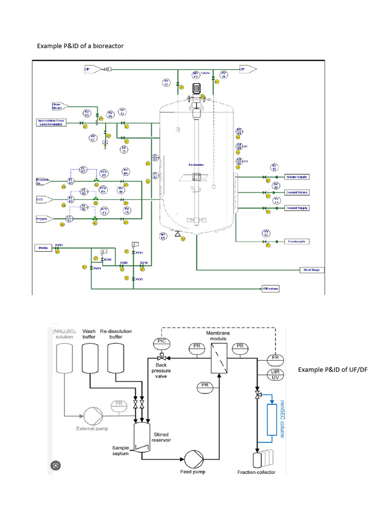 Example PID | PDF