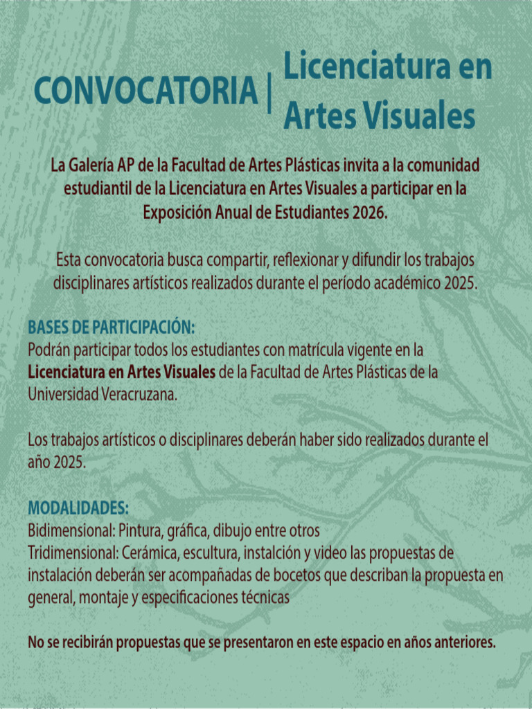 Convocatoria de Artes Visuales 2026 (Recuperado) | PDF