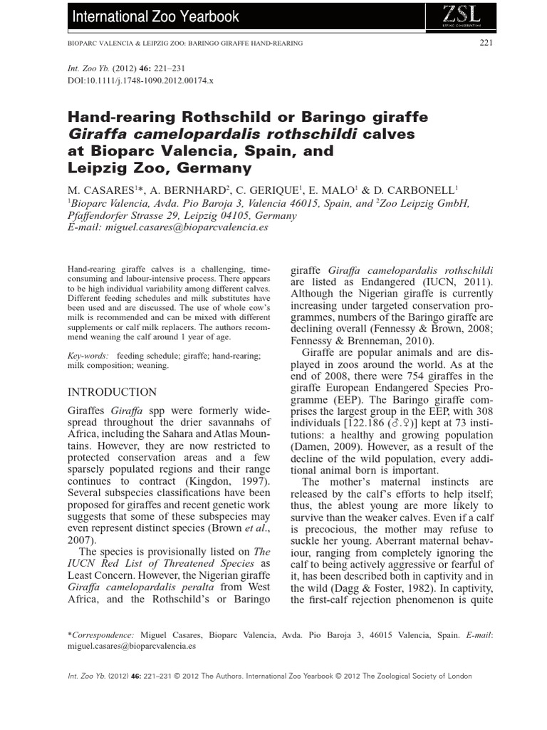 Hand-Rearing Rothschild or Baringo Giraffe | PDF | Giraffe | Milk