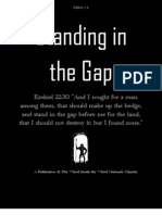 Standing in The Gap - Edition 1.4