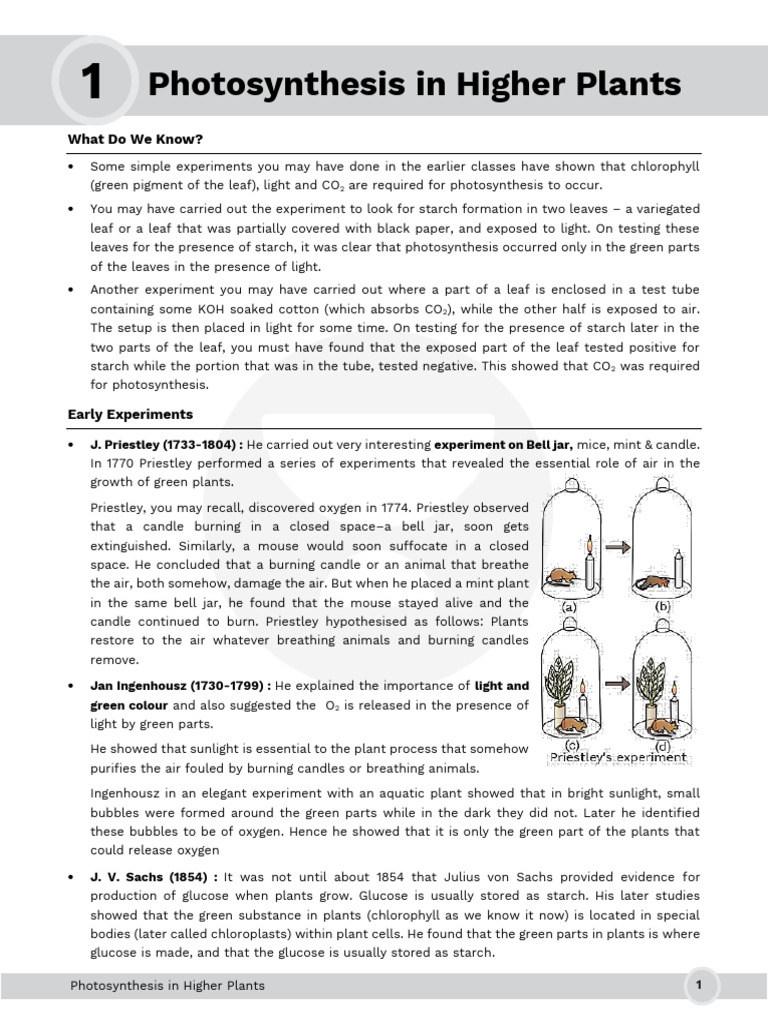 Photosynthesis in Higher Plants 4.0 | PDF | Photosynthesis | Chloroplast