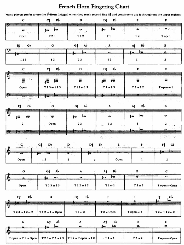 Horn Fingering Chart | PDF