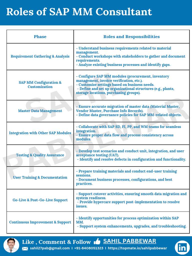 SAP MM Consultant 1740418154 | PDF | Business Process | Computing