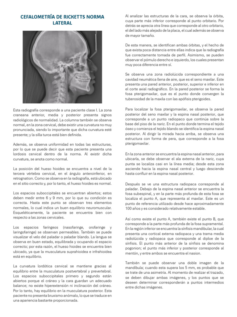 Cefalometría de Ricketts Norma Lateral | PDF | Anatomía de los primates ...