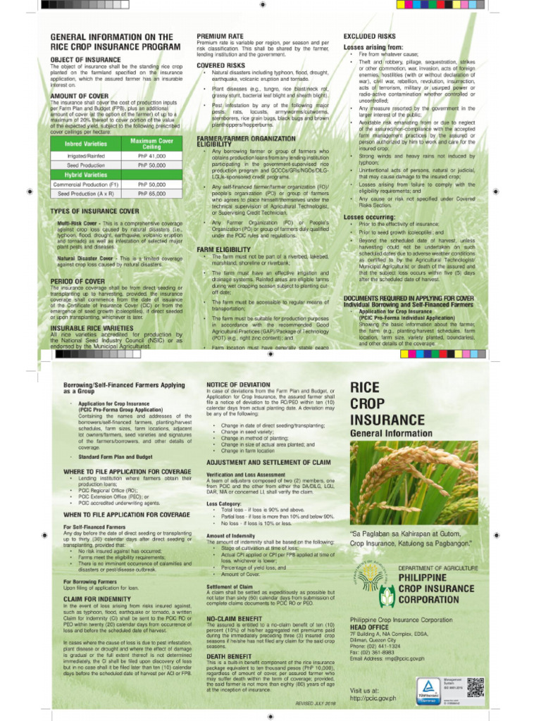Filipina Rice Insurance | PDF | Insurance | Rice