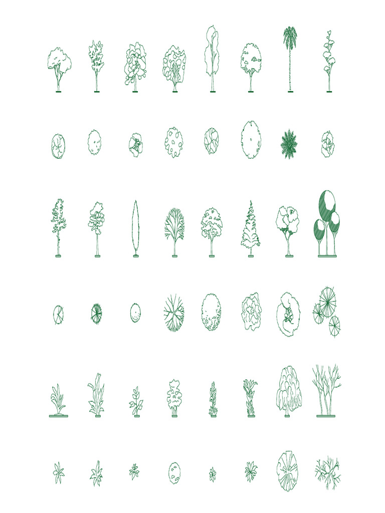 Árboles en Elevación y en Planta_Trazzo Shop | PDF