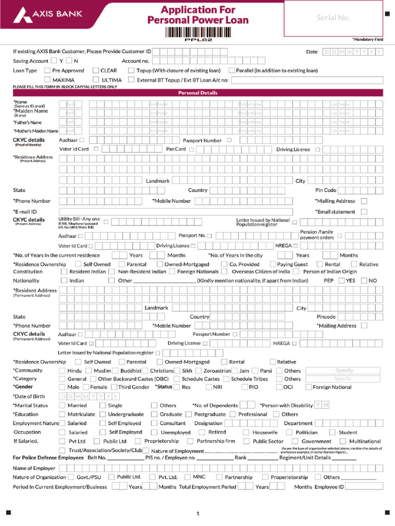 Pl Application Form | PDF