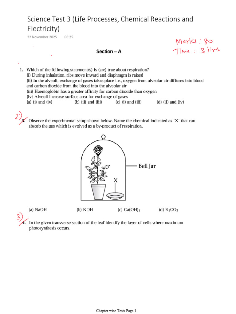 Science Test 3 | PDF
