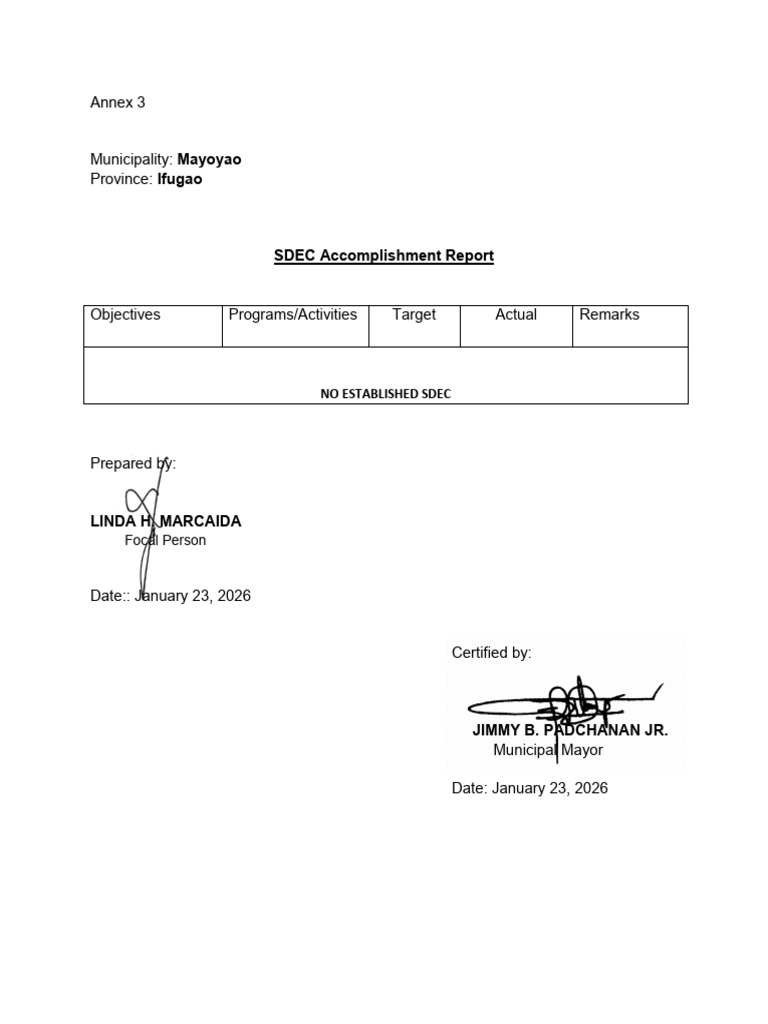 Annex 3 SDEC Accomplishment Report Template | PDF
