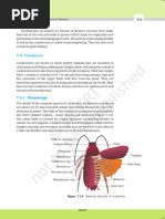 Cockroach Body Segmentation Overview | PDF