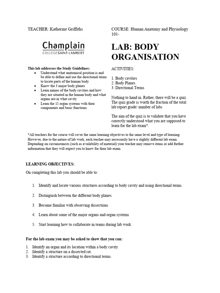 Body Organisation Lab | PDF | Anatomical Terms Of Location | Human Body