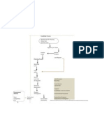 Process Chart For Developer Services