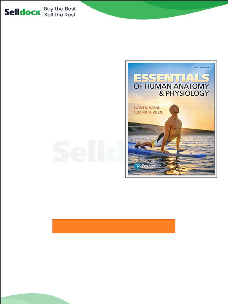 Test Bank For Essentials of Human Anatomy and Physiology 12th Edition ...
