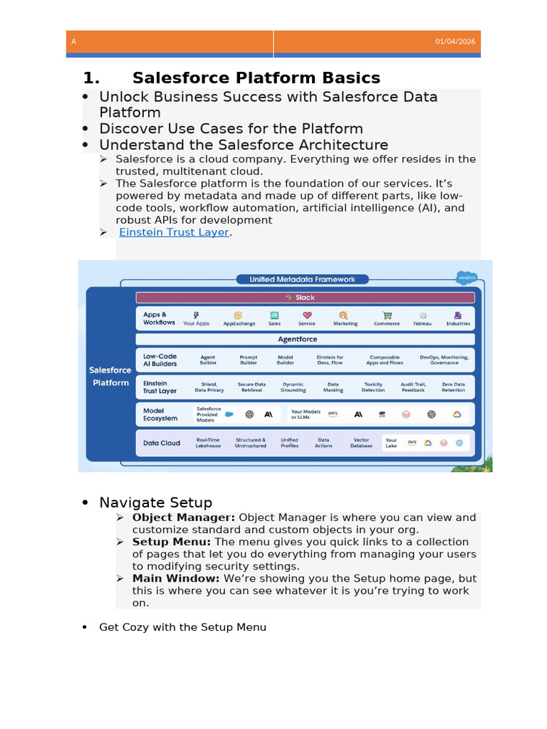 Salesforce Admin Basics | PDF | Data Type | Information Retrieval