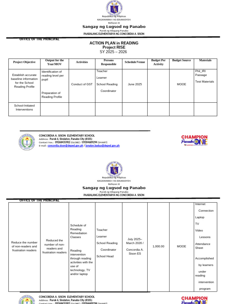 Reading Action Plan 2024-2025 | PDF