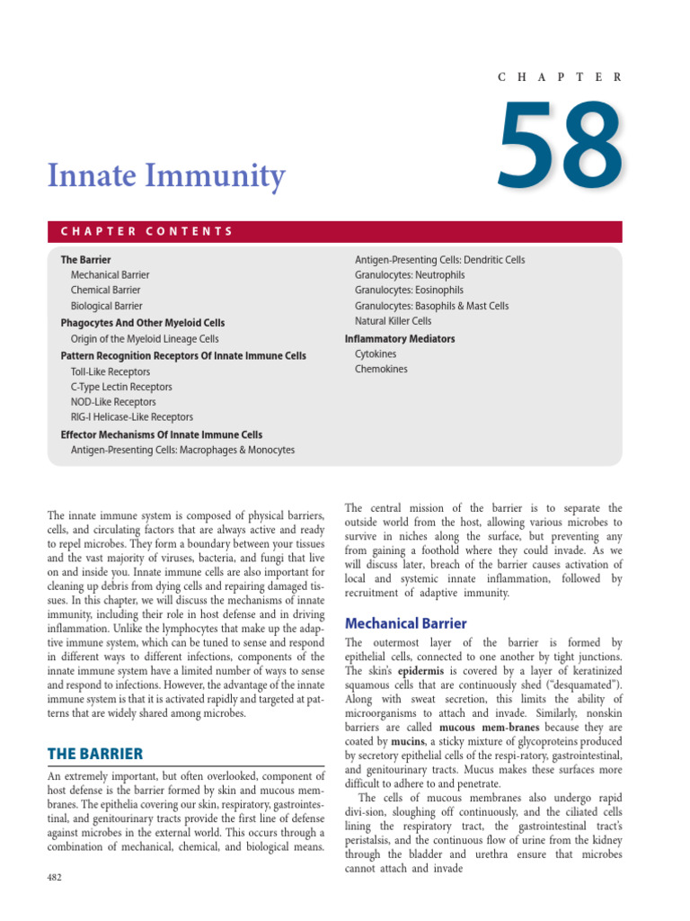 Lecture 02, Innate Immunity | PDF | Innate Immune System | Immune System