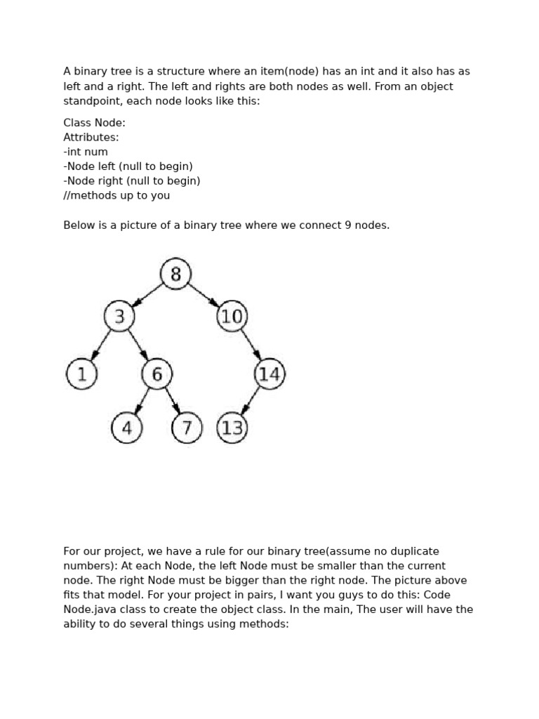 Binary Tree Assignment | PDF