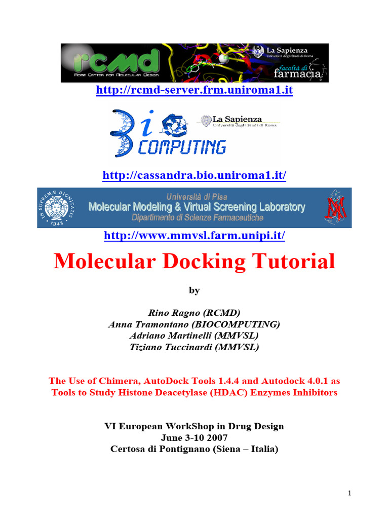 dockingtutorial-100223013121-phpapp02 | PDF | Docking (Molecular ...