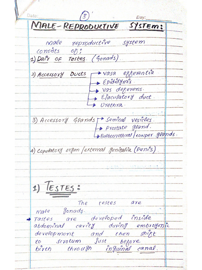 Reproduction | PDF