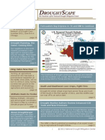 Spring 2011 Drought Scape
