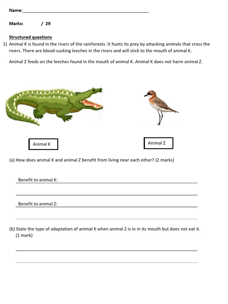 718932502 Psle Ws p6 Adaptations Lesson 2 Oeqs on Adaptations | PDF ...