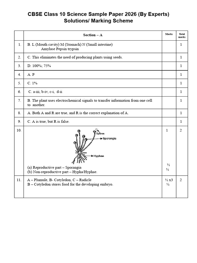 Cbse 10 Science Sample Paper Marking Scheme 1771772279248 | PDF ...