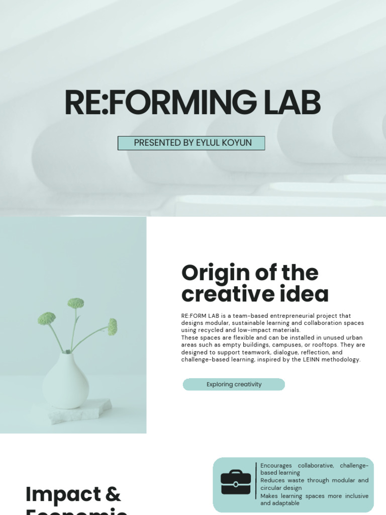 Leinn Project Presentation | PDF | Sustainability | Entrepreneurship