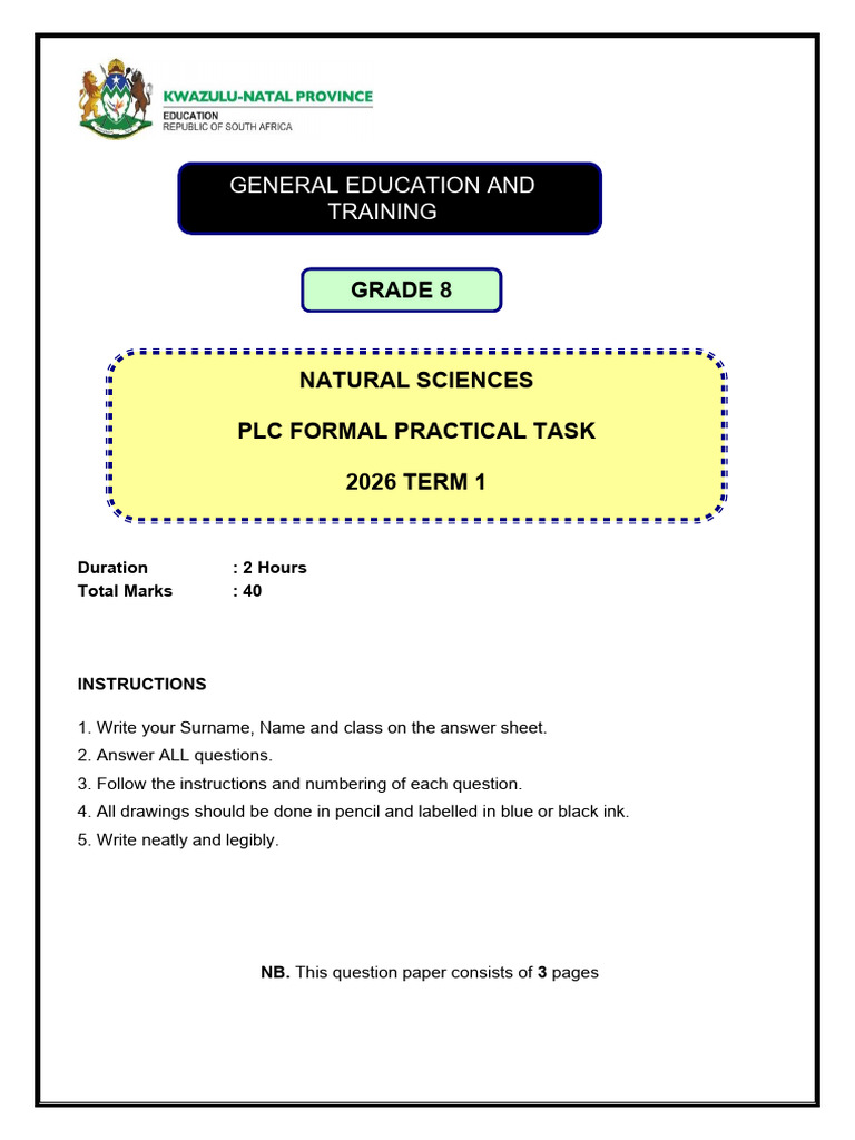 NS - Grade 8 - Term 1 - PLC Practical Task - 2026 | PDF