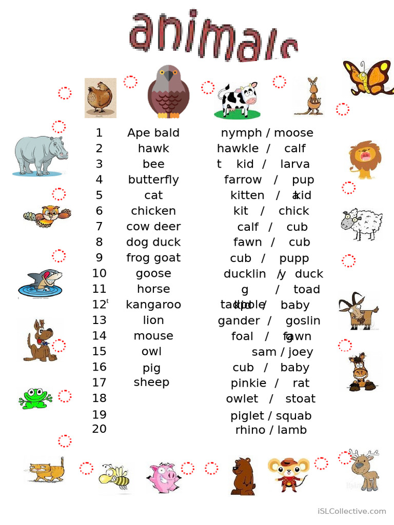 Baby Animals 2 PDF | PDF