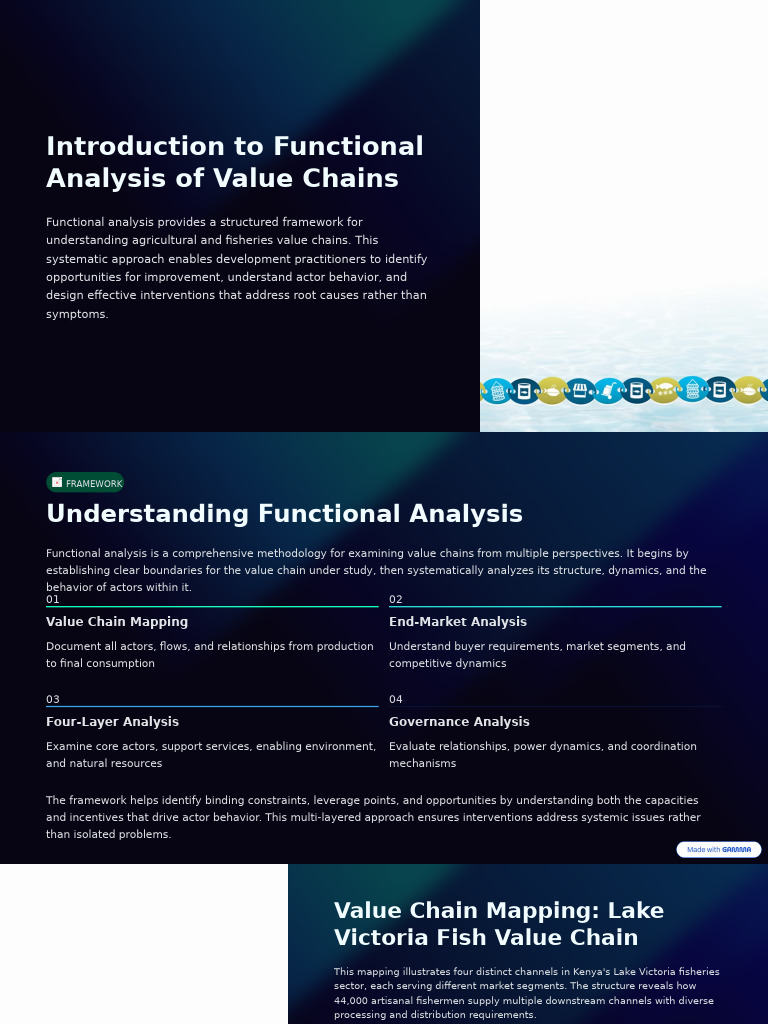 Introduction To Functional Analysis of Value Chains | PDF | Market ...