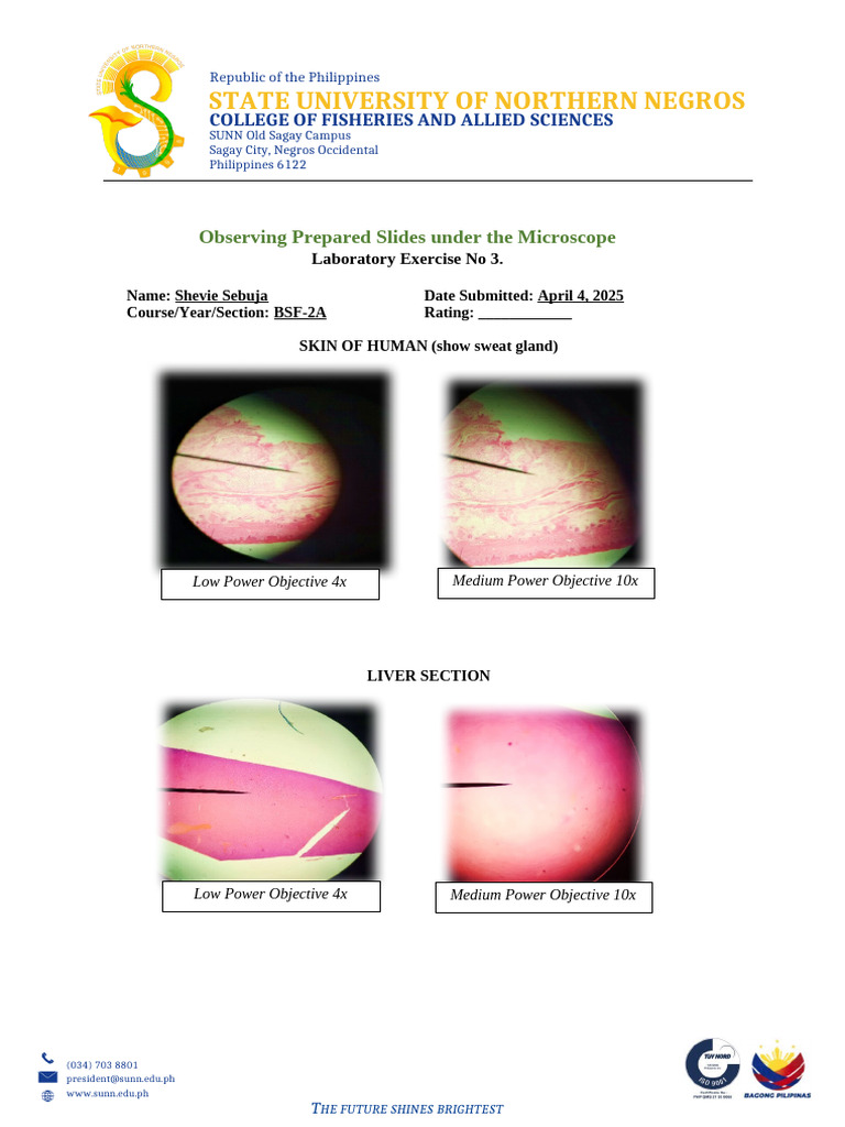 Micro Bio | PDF | Skin | Microscopy