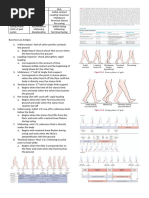 Gait Cycle Phases and Muscle Activation | PDF | Anatomical Terms Of ...