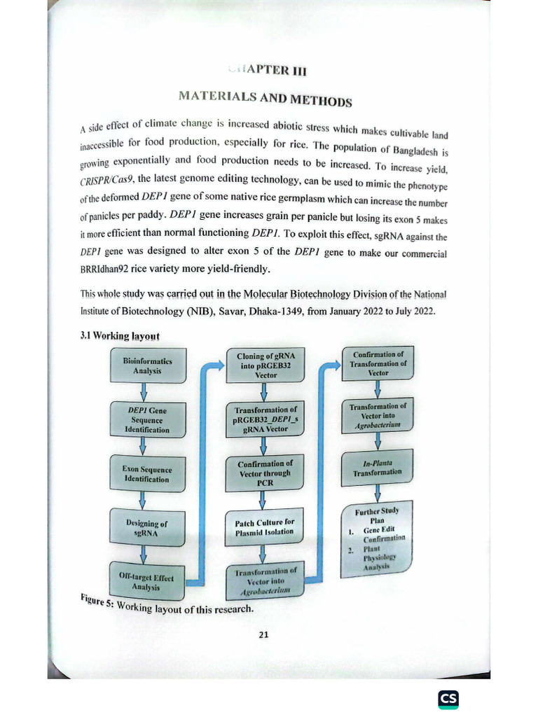 Material and Methods | PDF