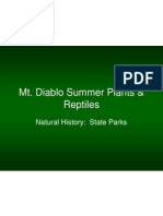 Mt. Diablo Summer Plants & Reptiles: Natural History: State Parks