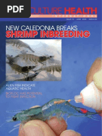 Download Amit Kumar Sinha - Biofloc Article by Mitshutop SN10085394 doc pdf