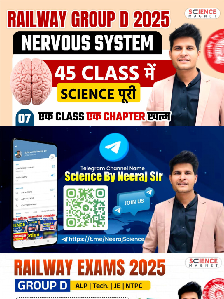 Class 7 Nervous System | PDF