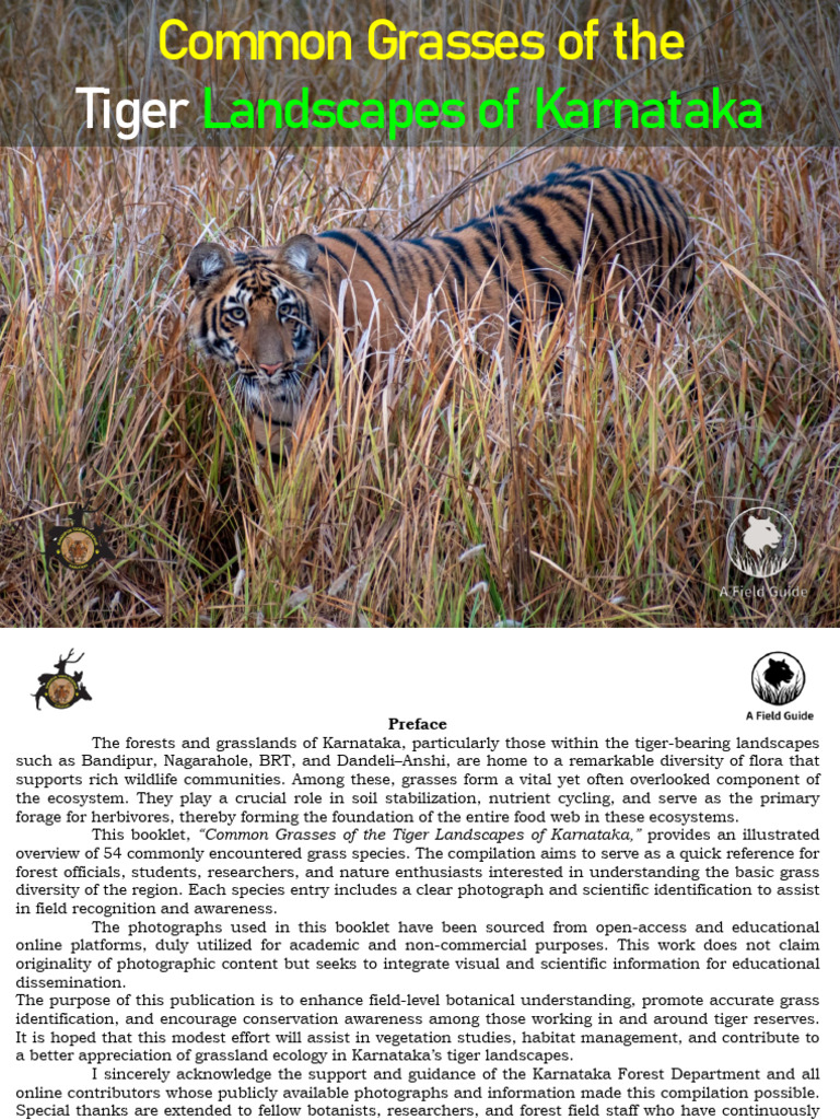 Common Grass Species of the Tiger Landscapes in Karnataka, Prakash L ...