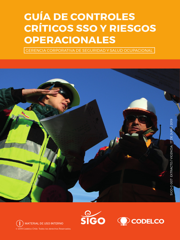 Guia Controles Cr Ticos y Riesgos Operacionales | PDF | Seguridad y ...