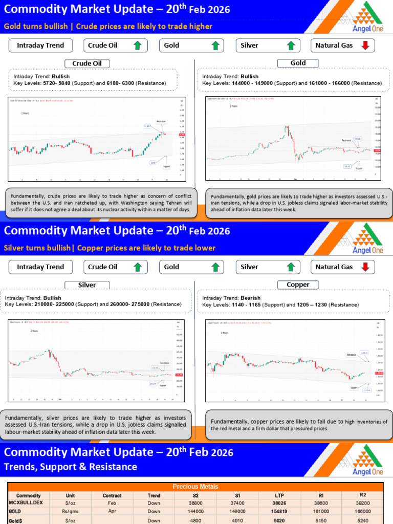 Commodity Morning Report 20th Feb 2026 | PDF | Market Trend | Commodity ...