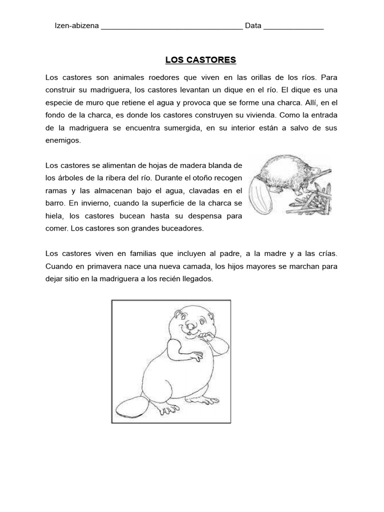 Los Castores - Docx Fitxategiaren Kopia | PDF